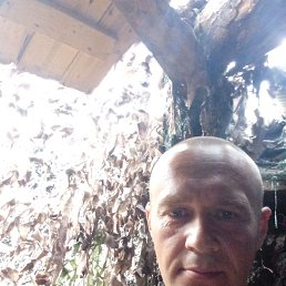 , 36, 