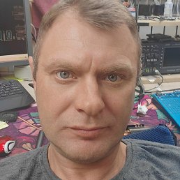 �������, ����, 49 ���