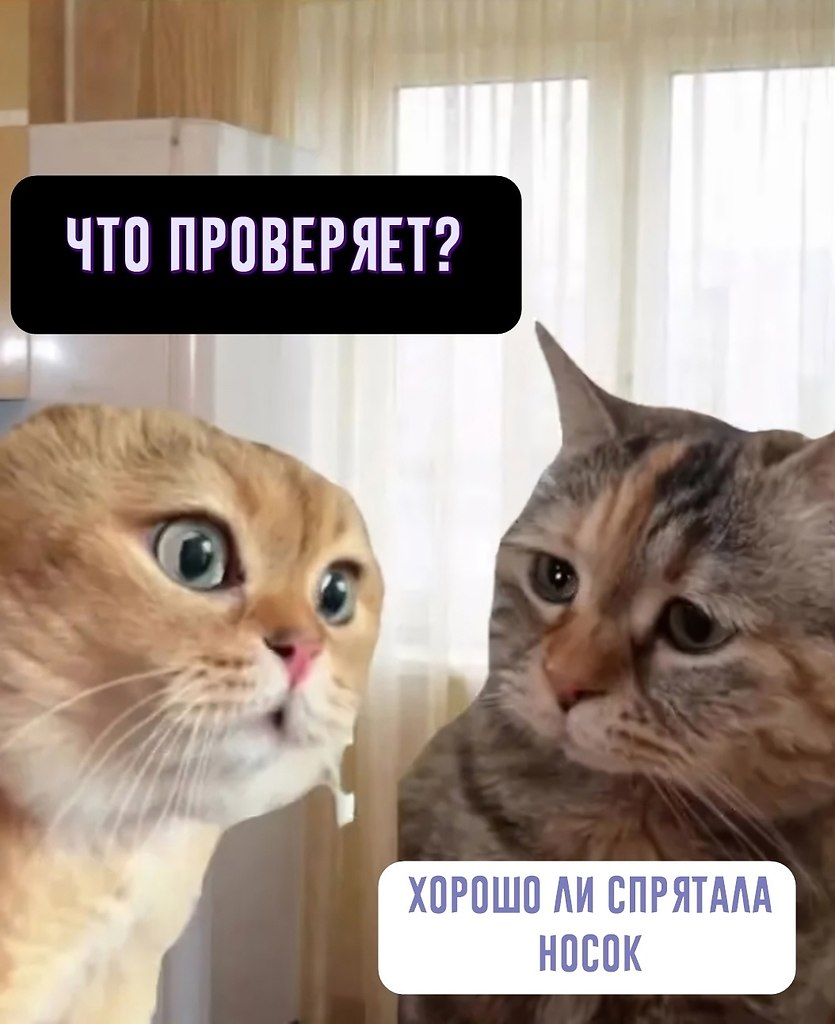  - 4  2025  12:00 - 3