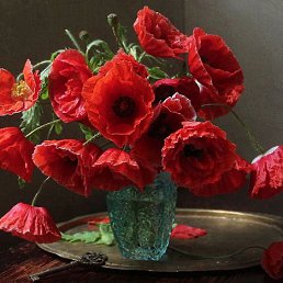 ���� ����, ��������, 52 ���� - ��������� 28 ������� 2025