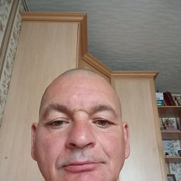 , 53 , 