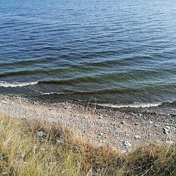 ���������, ���������, 51 ���