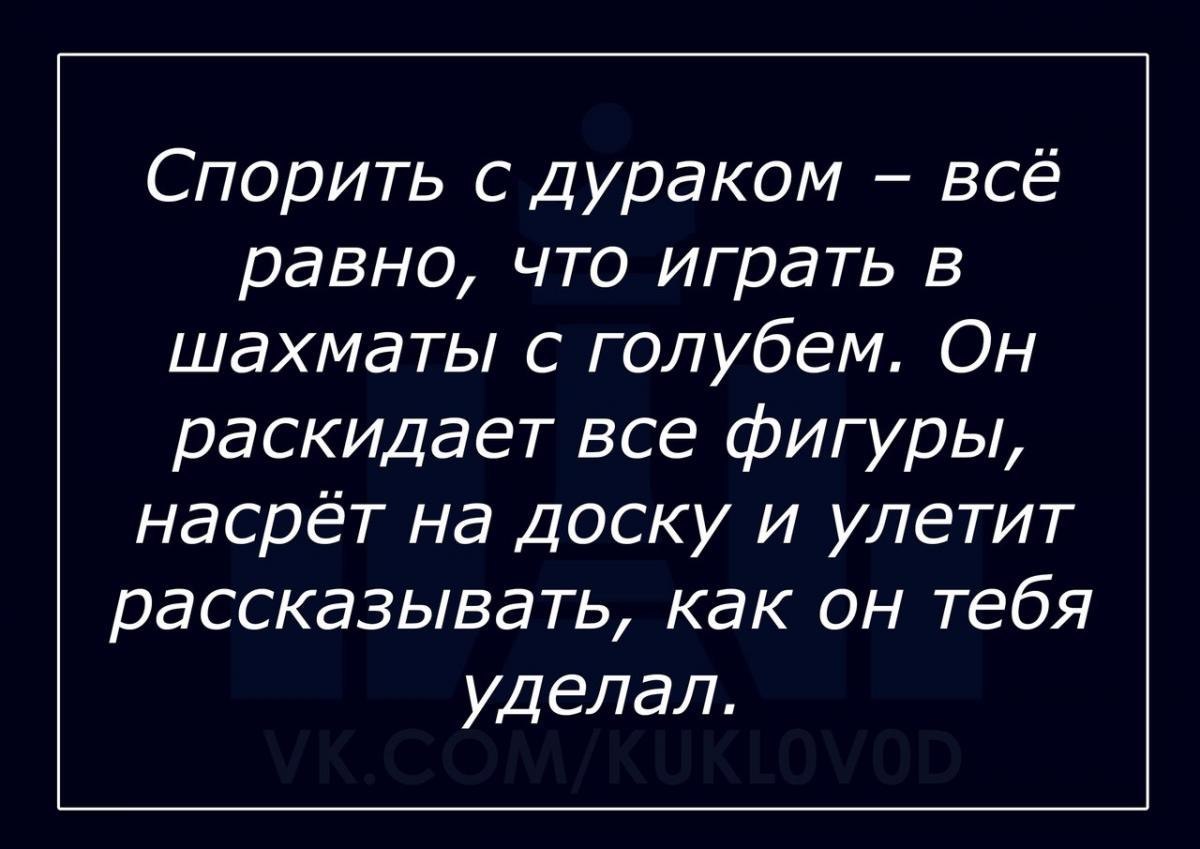 Сам себя считаю слова. Цитаты про дураков. Высказывания о дураках. Афоризмы про дураков и идиотов. Про дураков афоризмы цитаты.