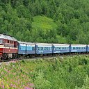 ���� ������, �������, 33 ���� - ��������� 10 ������� 2023 � ������ ������ �������� �������