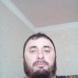 ���� �������� �������, ���������, 43 ���� - ��������� 12 ��� 2025