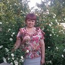 ���� �����, ����, 66 ��� - ��������� 3 ������ 2026 � ������ ���� ����������