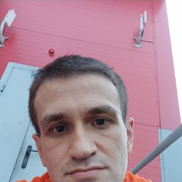 , 31, 