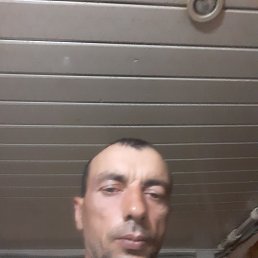 , 35, 