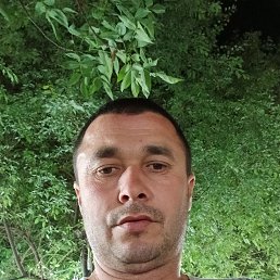 , 38, 