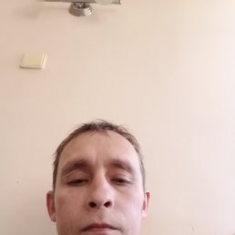 ����, 38 ���, ��������