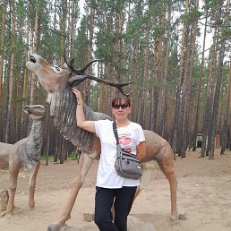 , 53, 