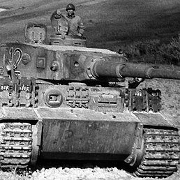 �������, ��������, 47 ���