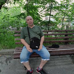, 55 , 
