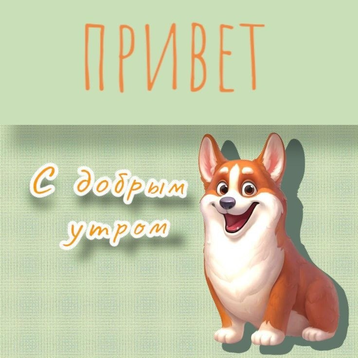  - 27  2024  07:29