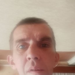 , 42, 