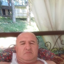 , 53, 
