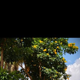 ���� ������, �����, 48 ��� - ��������� 1 ������� 2026