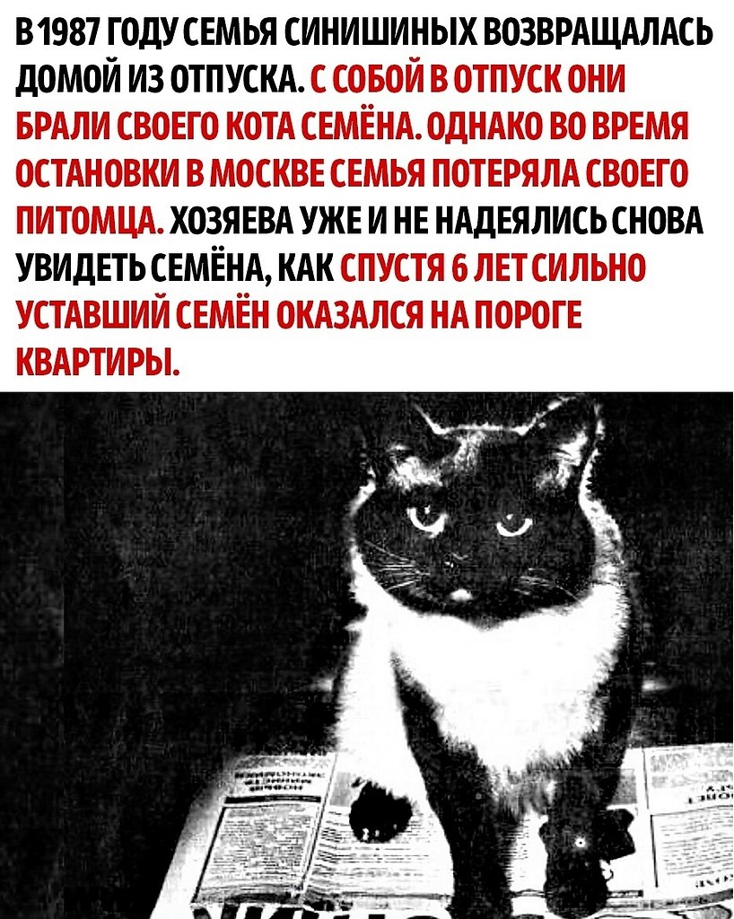    ,        ... - 2