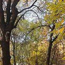 ���� ����, ������, 35 ��� - ��������� 23 ������ 2026