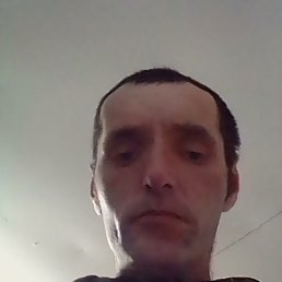 ���� ����, ���������, 41 ��� - ��������� 17 ������� 2024