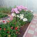  , , 64  -  26  2025   7
