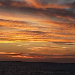 ��������, ���������, 53 ����