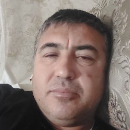 �����, ���������, 51 ���