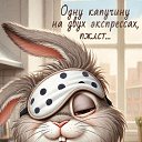 ���� ������, �����������, 54 ���� - ��������� 18 ������ 2026 � ������ ���� ����������