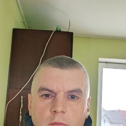 , 39, 