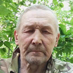 �������� ����������, ������, 49 ���