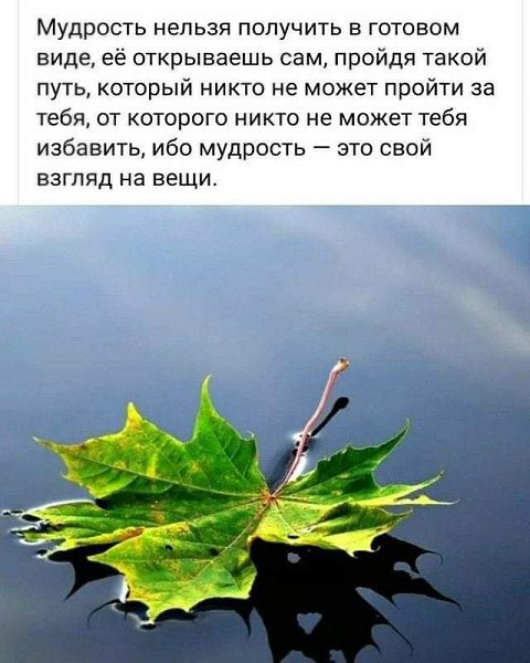  - 21  2024  13:48
