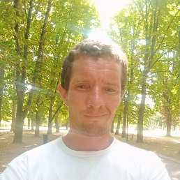 , 33, 