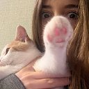 ���� ���, ������, 23 ���� - ��������� 5 ������ 2024