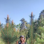 ������, 52 ����, ����������