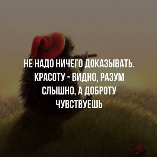   - 8  2025  16:21