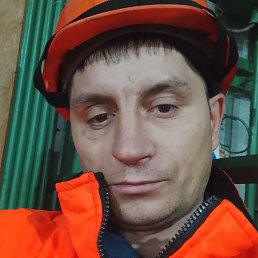 ������, ����-���������, 40 ���