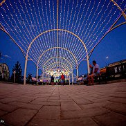 ����, 37 ���, ������