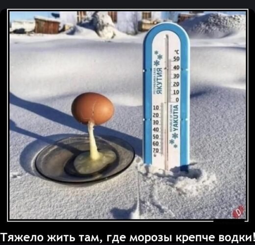   ! - 2  2024  12:49