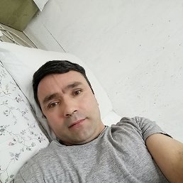 , 42, 