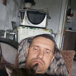 , 46, 