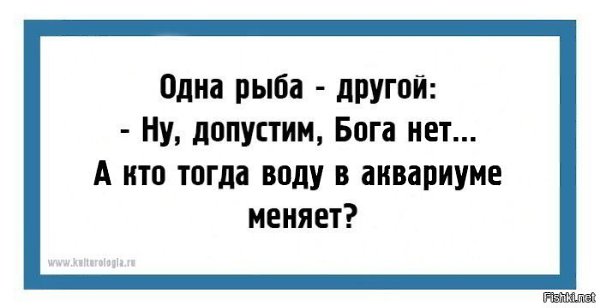 Maxim - 2  2024  15:27