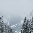 ���� �����, �������������� - ��������� 17 ������ 2026