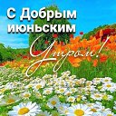 ���� �����, ���������, 49 ��� - ��������� 8 ���� 2025 � ������ ������ ��������
