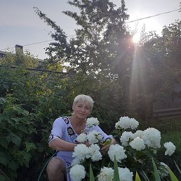 ��������, ��������, 56 ���