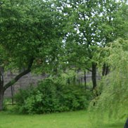Anton, 41 ���, �����