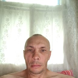 , 37, 