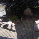  ,  -  3  2025   Beregszasz_2024