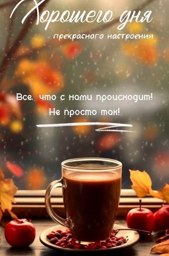   ,    . - 21  2025  14:46 - 4