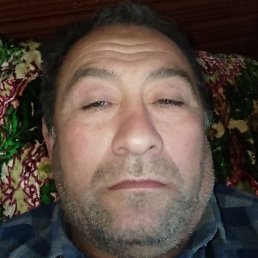 �������� �������, �����, 49 ���