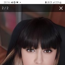 , 37, 